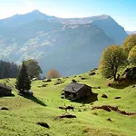 Nora 5 Bett By Interhome Lägenhet Grindelwald