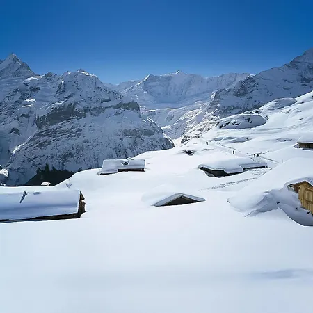 Lägenhet Nora 5 Bett By Interhome Grindelwald