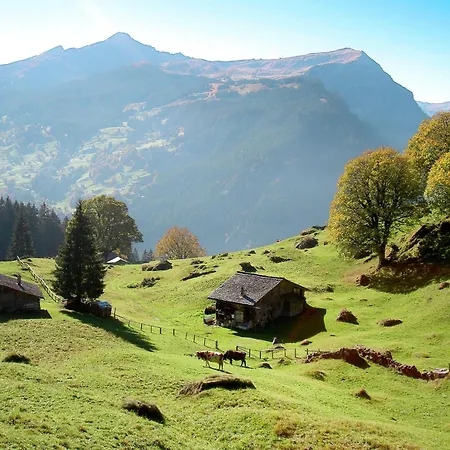 Nora 5 Bett By Interhome Lägenhet Grindelwald