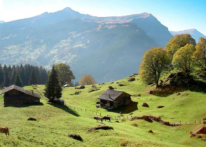 Nora 5 Bett By Interhome Apartment Grindelwald